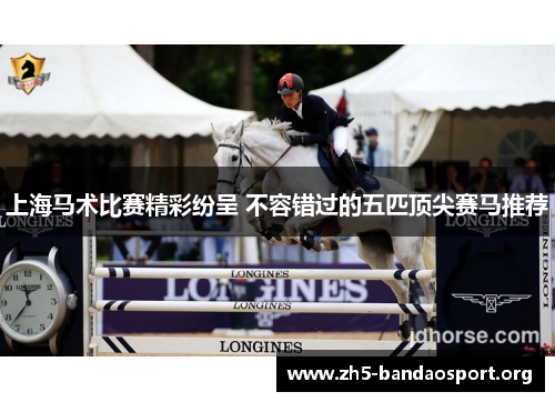 上海马术比赛精彩纷呈 不容错过的五匹顶尖赛马推荐