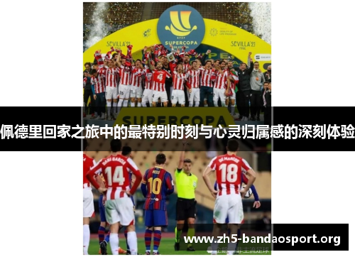 佩德里回家之旅中的最特别时刻与心灵归属感的深刻体验