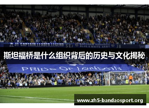 斯坦福桥是什么组织背后的历史与文化揭秘
