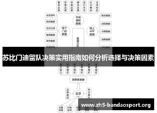 苏比门迪留队决策实用指南如何分析选择与决策因素